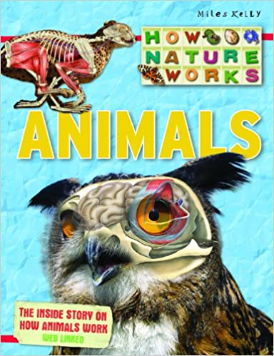 Animals (How Nature Works)