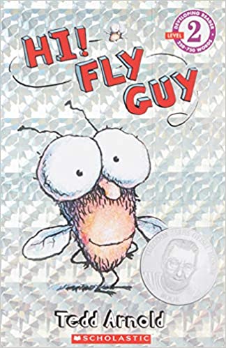 Hi! Fly Guy