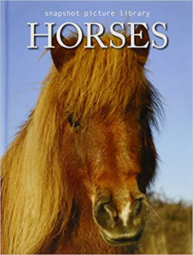 Snapshots: Horses