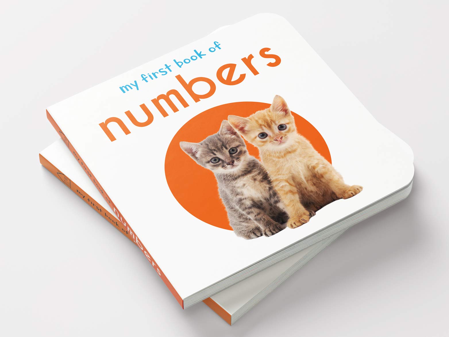 My First Book Of Numbers: First Board Book
