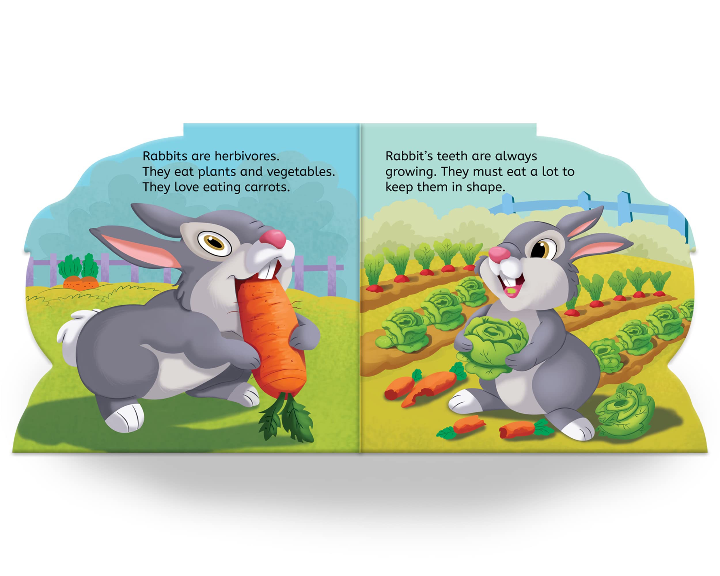 My First Shaped Board Book - Rabbits