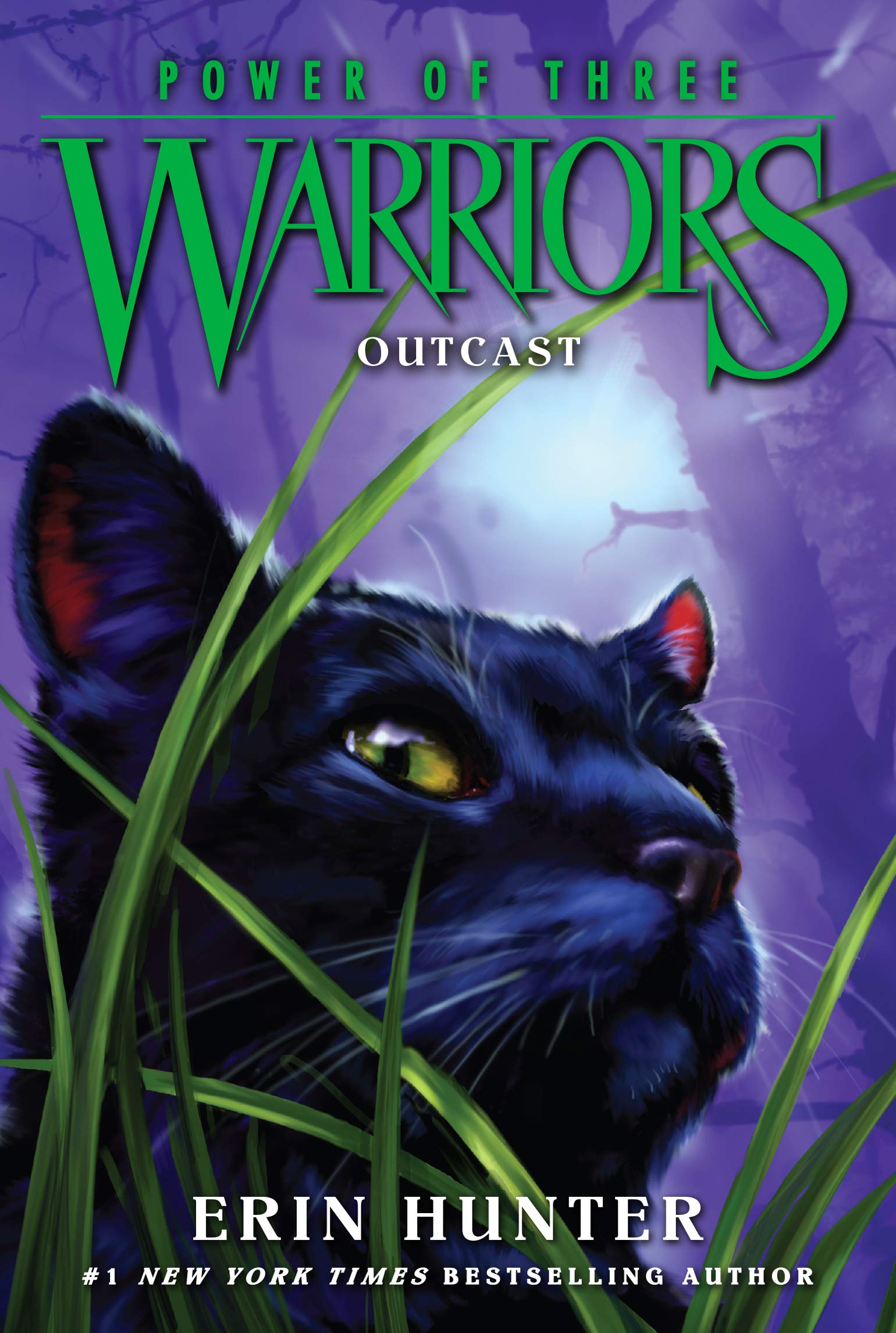 Warriors: Power of Three #3: Outcast Paperback