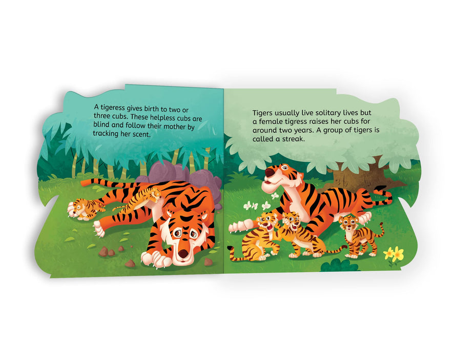 My First Shaped Board Book - Tiger