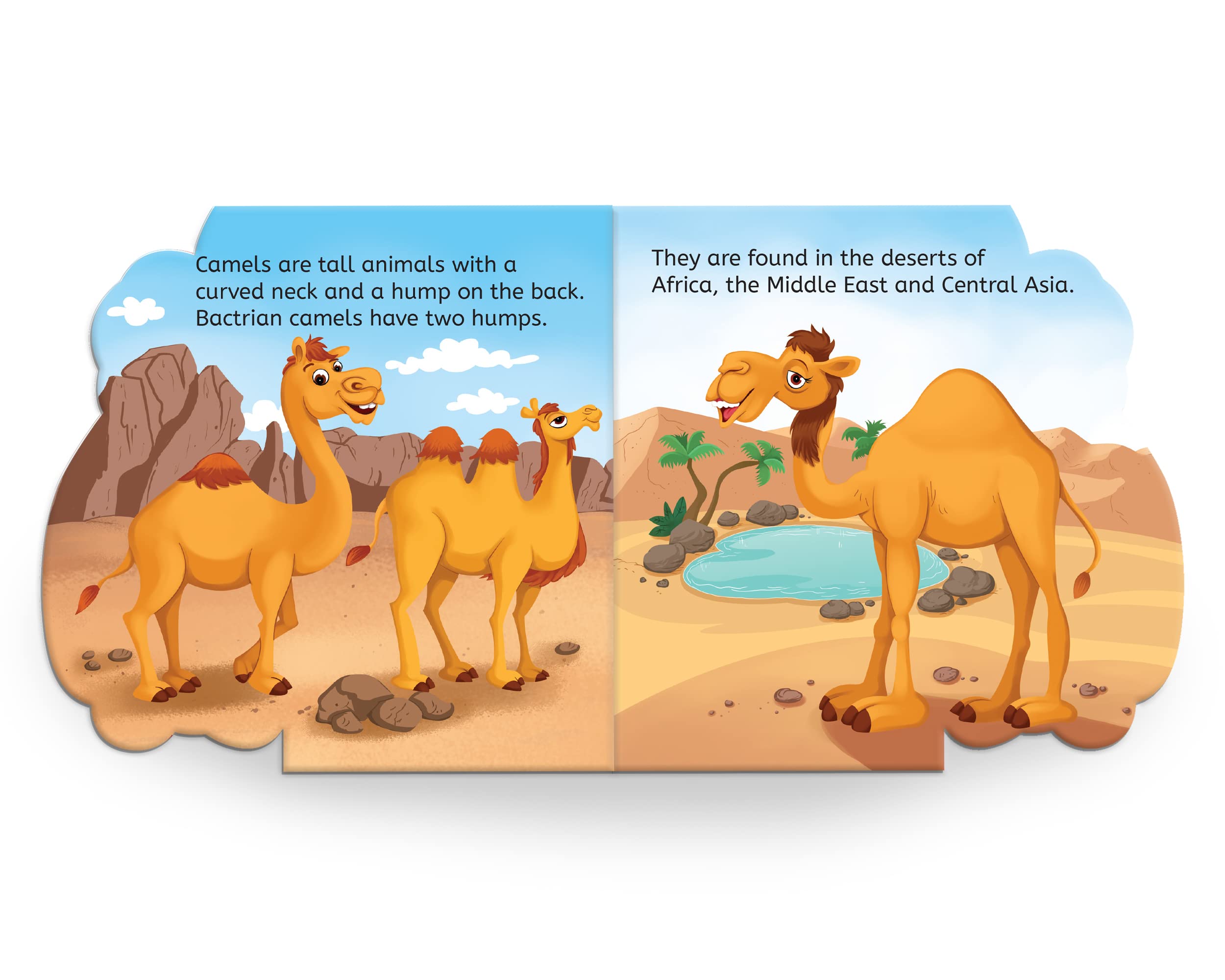 My First Shaped Board Book - Camel