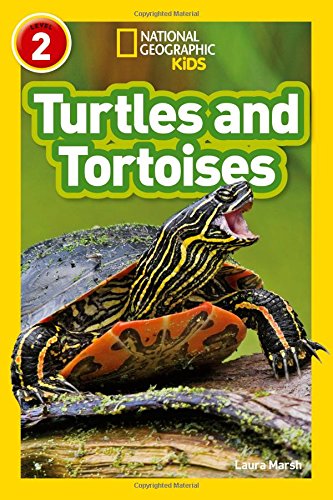 Turtles and Tortoises: Level 2