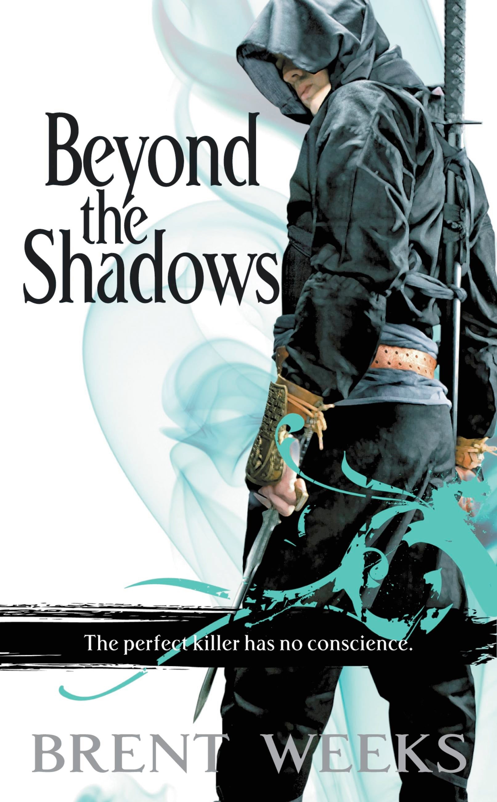 Beyond the Shadows: 3 (The Night Angel Trilogy)