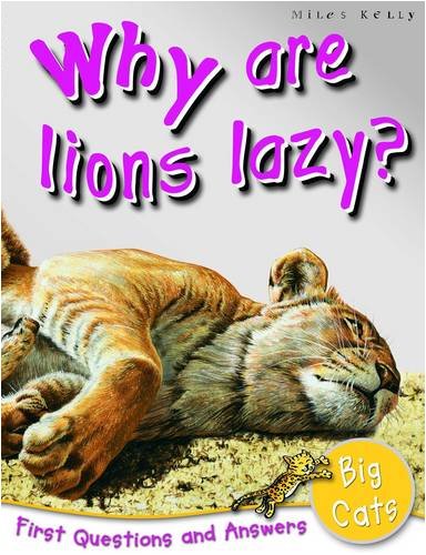 Big Cats: Why Are Lions Lazy?
