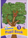 Jolly Grammar Pupil Book 1