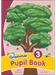 Jolly Grammar Pupil Book 3