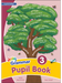 Jolly Grammar Pupil Book 3 (in print letters)