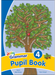 Jolly Grammar Pupil Book 4