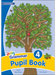Jolly Grammar Pupil Book 4 (in print letters)