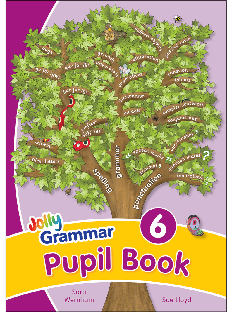 Grammar 6 Pupil Book