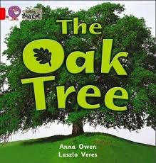 Collins Big Cat The Oak Tree Workbook