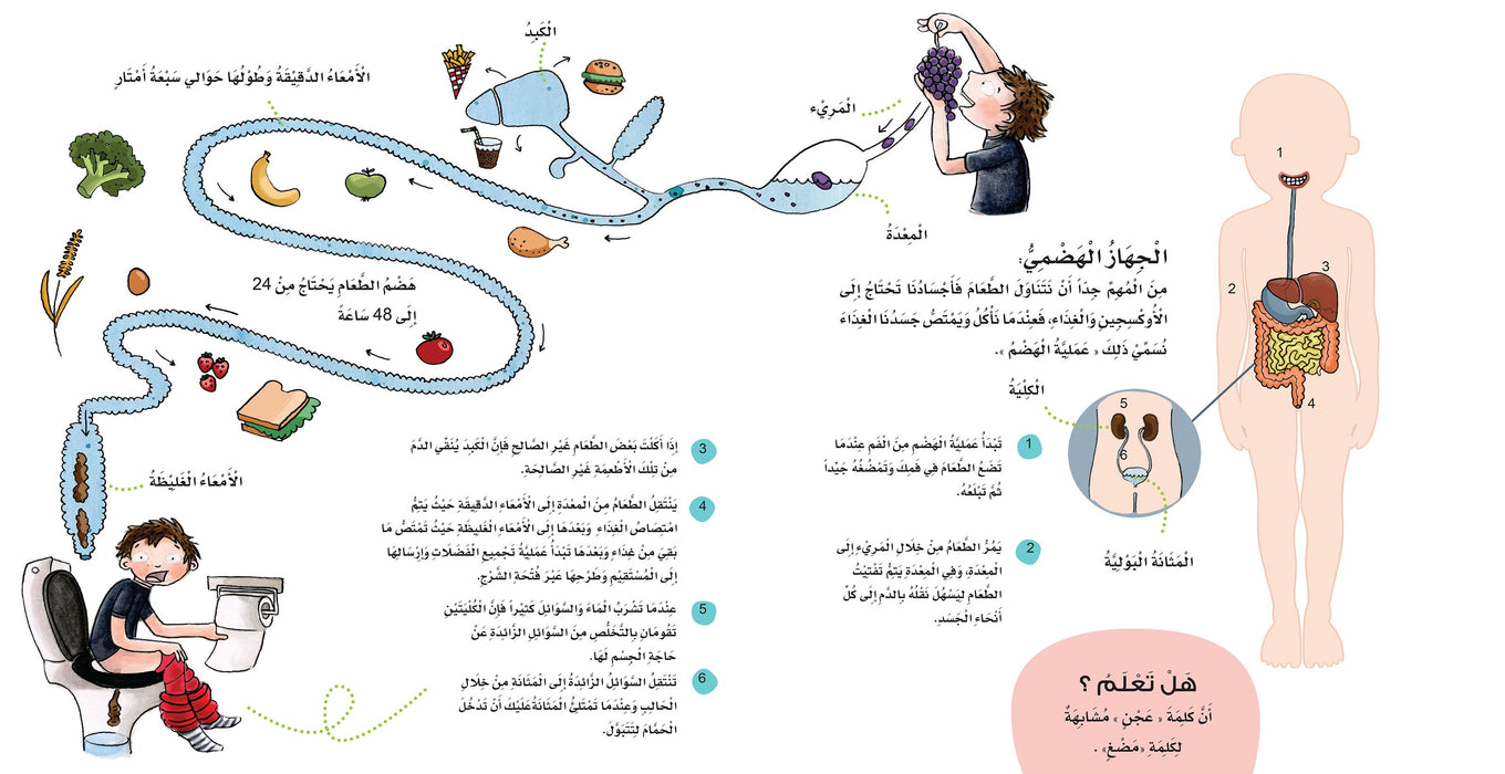 هكذا يعمل جسدي