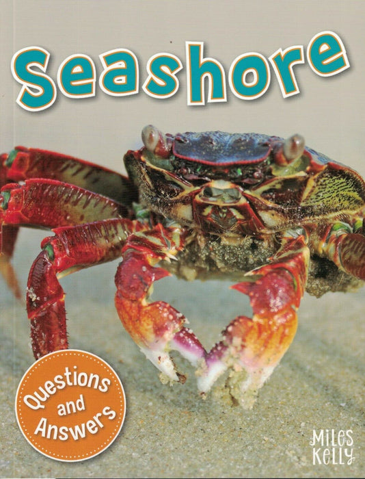 My Q & A Library 20 Seashore