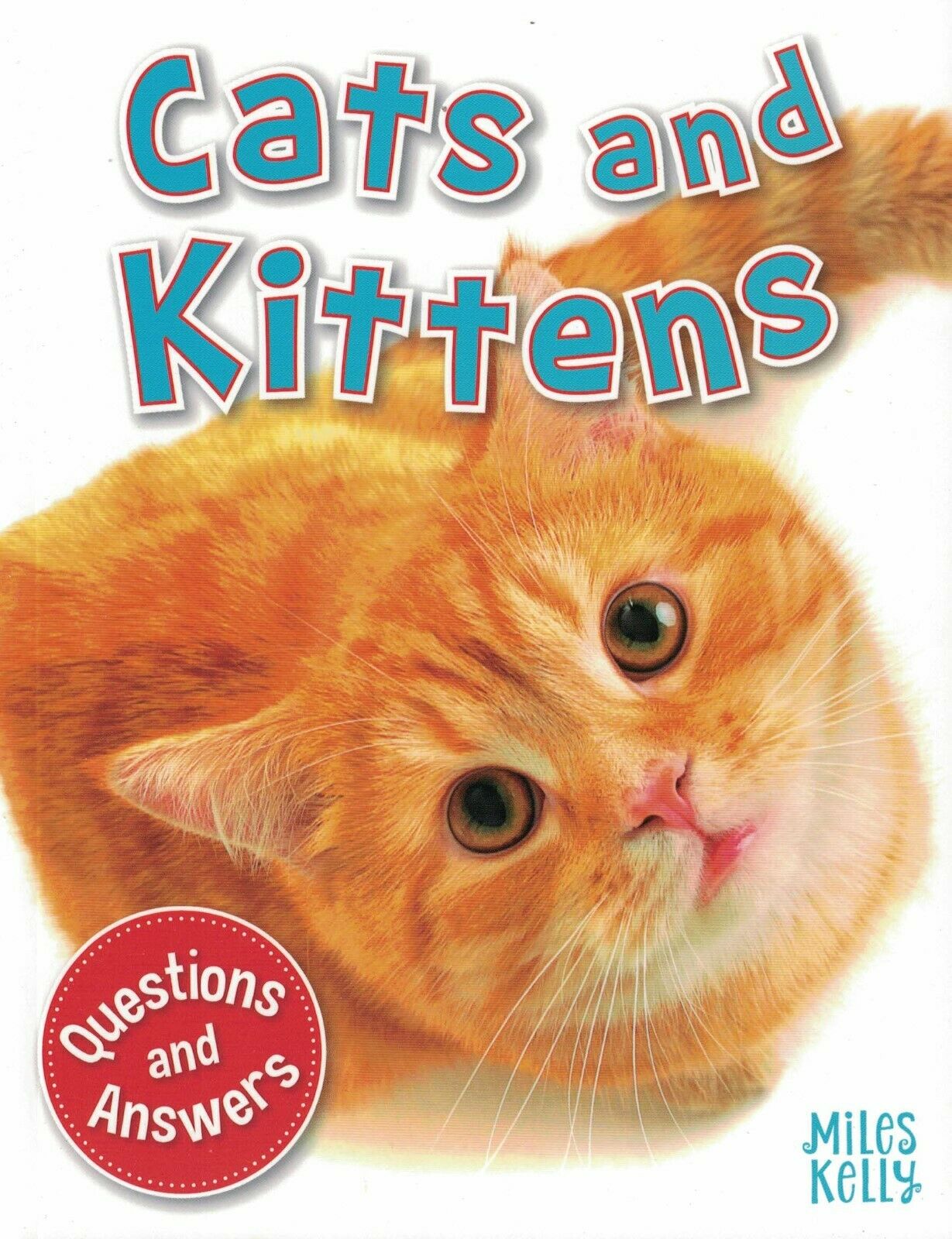 My Q & A Library 5 Cats And Kittens