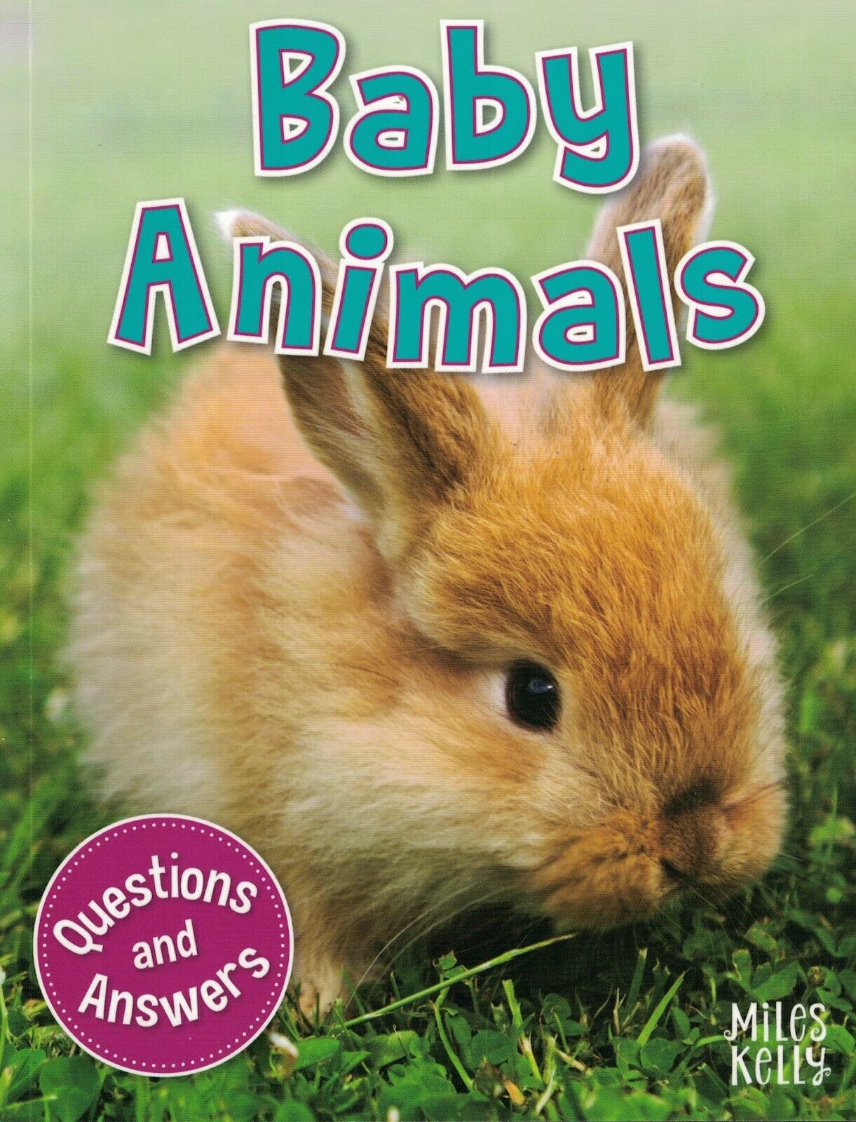 My Q & A Library 1 Baby Animals
