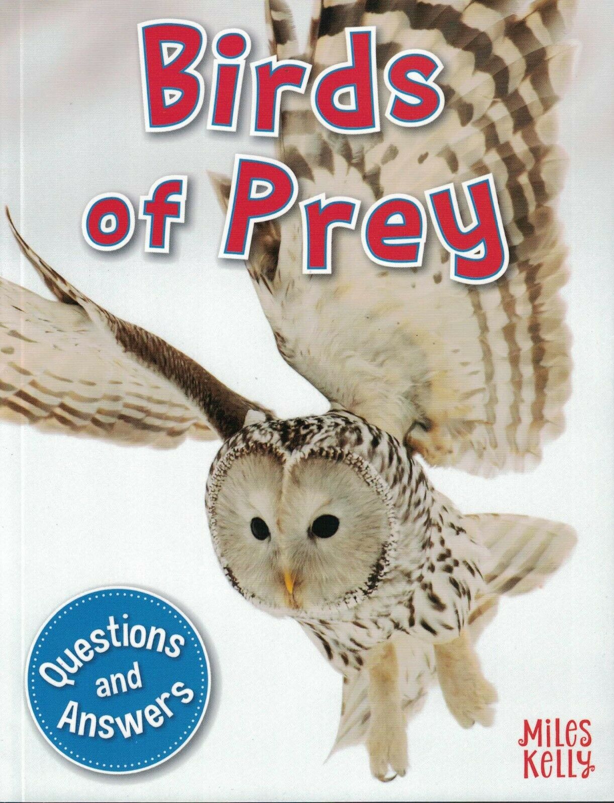 My Q & A Library 4 Birds Of Prey