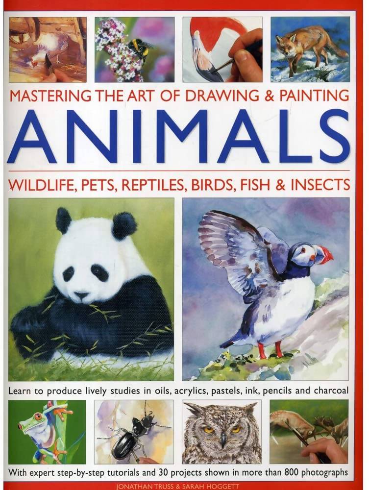 Mastering Art Of Drawing & Painting - Animals
